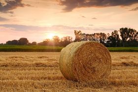 Agricoltura, tre miliardi di euro per la gestione del rischio