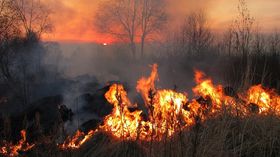 S&P, l’impatto degli incendi in California